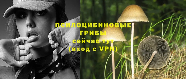 крисы Абаза