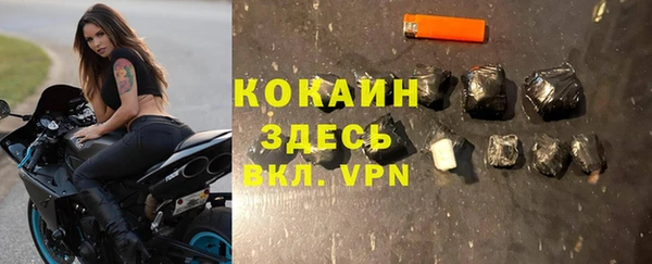 крисы Абаза