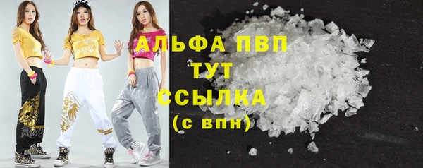 крисы Абаза